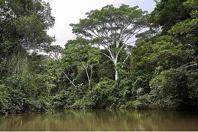 《黎明杀机》全球玩家突破6000万 官方赠礼开启皮肤活动